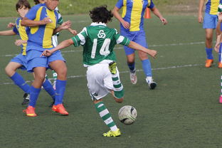 米兰体育入口-体育纪录片内容更加丰富，体育纪录片主题